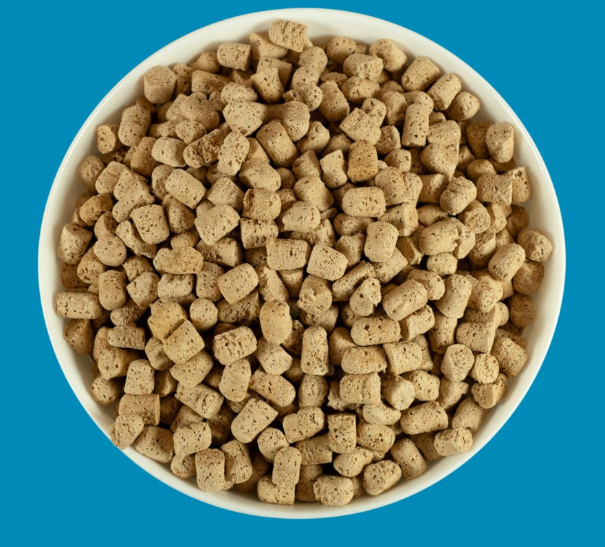 Bixbi Rawbble Chicken & Salmon Cat Freeze-Dried