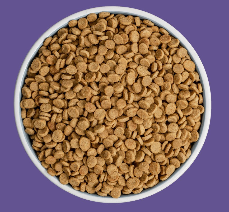 Bixbi Rawbble Lamb Dry Food