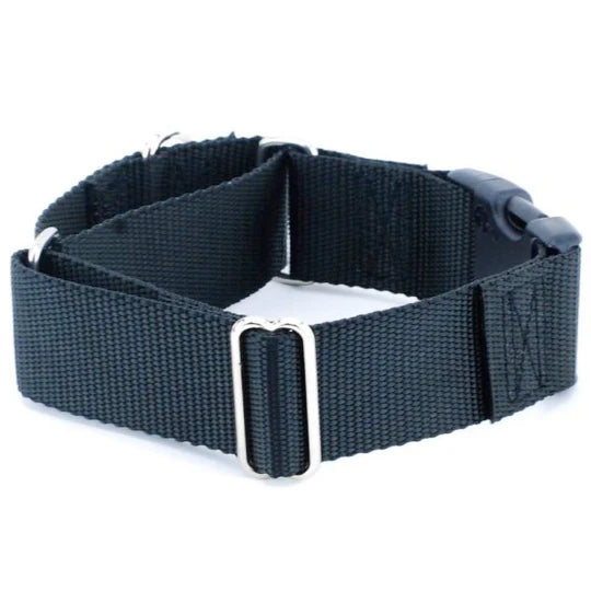 2Hounds 1.5" Combo Collar