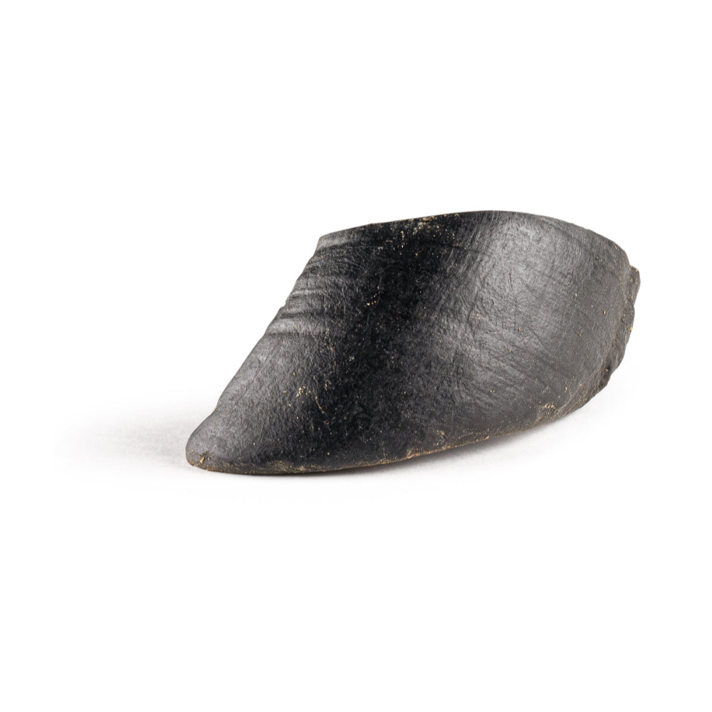 Cow Hoof