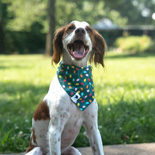 Dog Bandana Co - Lights & Candy Cane