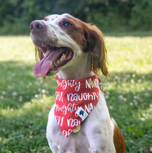 Dog Bandana Co - Naughty & Nice