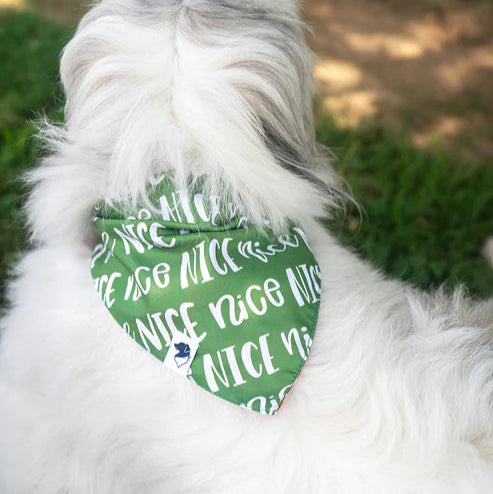Dog Bandana Co - Naughty & Nice