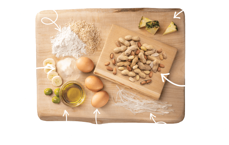 Earth Animal No-Hide Peanut Butter Value Packs