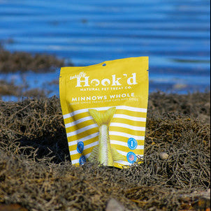Yellow package of Hook'd Minnows Whole on a beach with water in the background