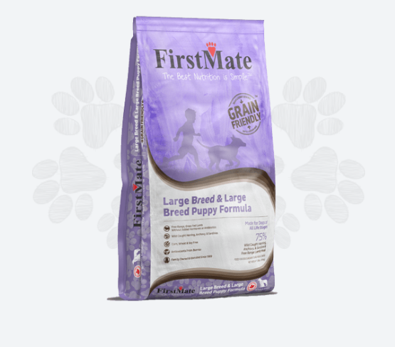 FirstMate Large Breed Puppy & Adult