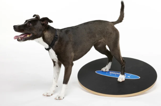 FitPaws Wobble Board - 36"