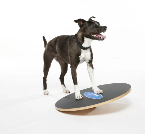 FitPaws Wobble Board - 36"