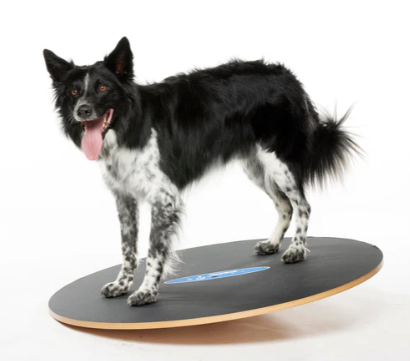FitPaws Wobble Board - 36"