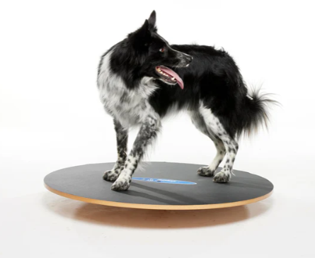 FitPaws Wobble Board - 36"