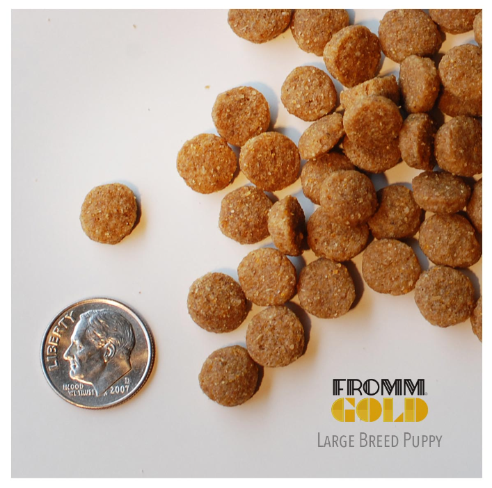 Fromm Large Breed Puppy Gold