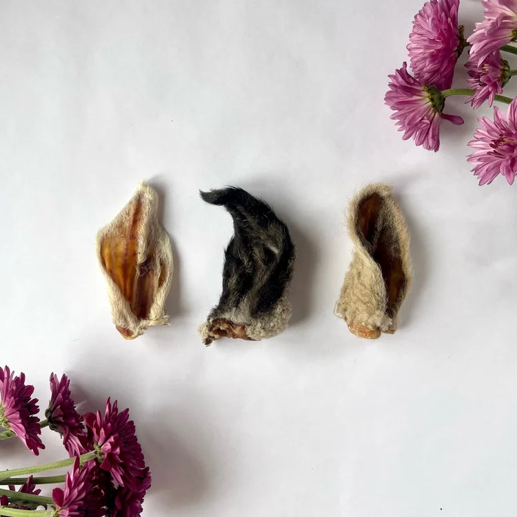 H&N Homestead Lamb Ear
