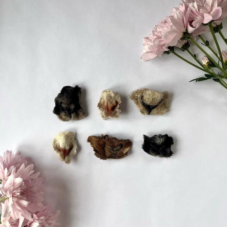H&N Homestead Lamb Snout