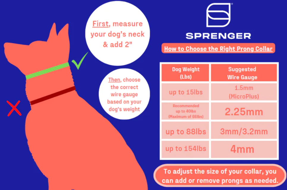 Herm Sprenger Training Collar Stainless Steel