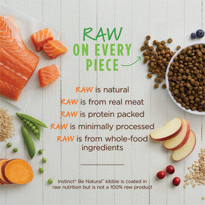 Instinct Be Natural Salmon Dog Food