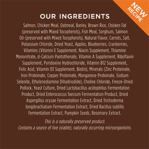 Instinct Be Natural Salmon Dog Food