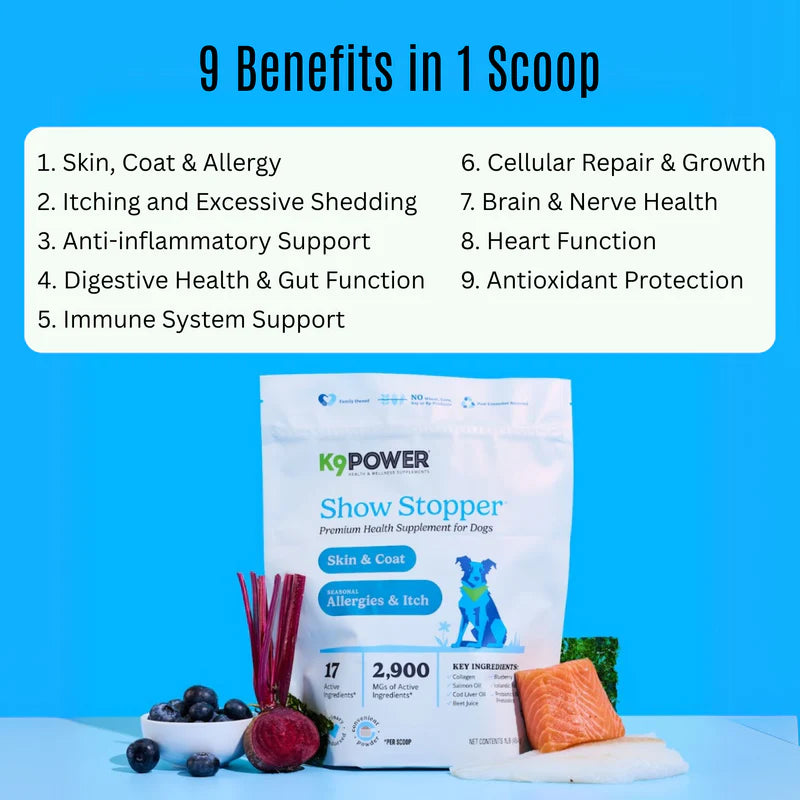 K9 Power Show Stopper