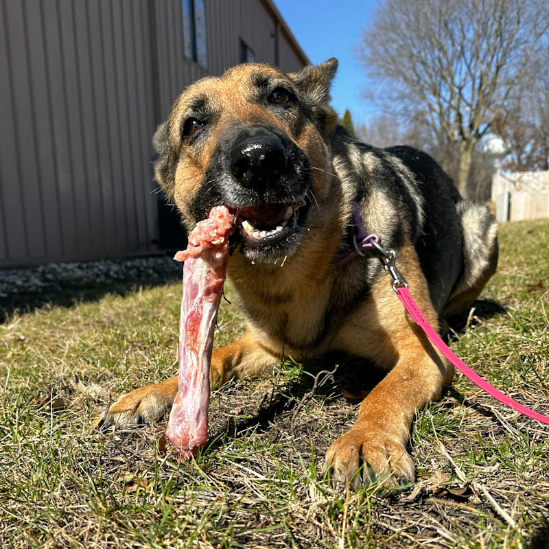 Turkey Necks 3 Pack
