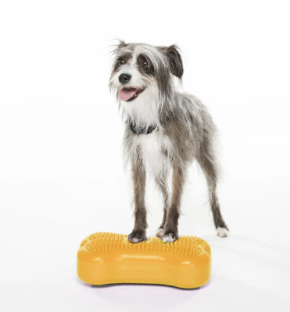 FitPaws k9Fit Balance Training Platform - Mini, Mango