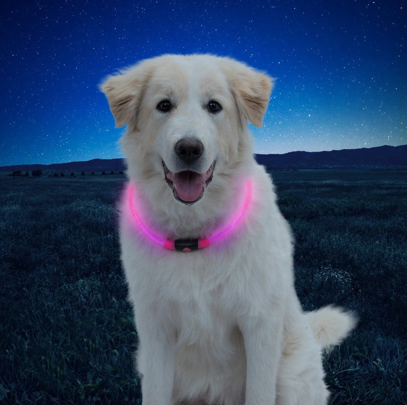 NiteIze NiteHowl LED Safety Necklace