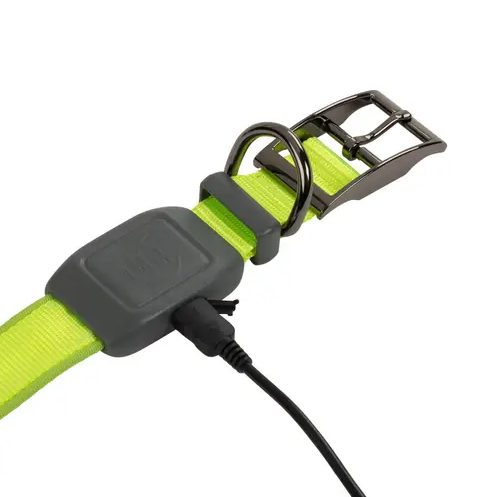 NiteIze NiteDog Rechargeable LED Collar Small