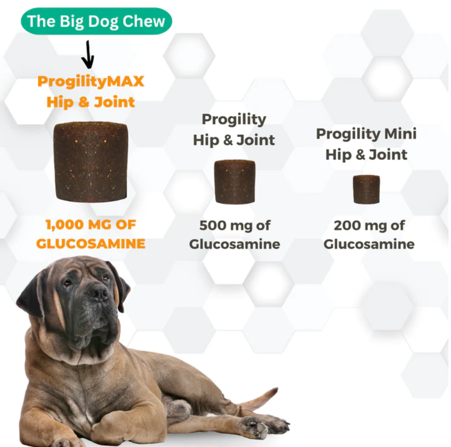 Nootie Progility Hip & Joint Support MAX