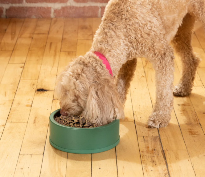 Open Farm Air Dried Harvest Chicken Recipe