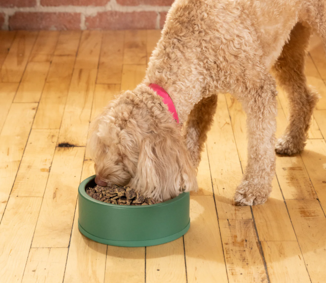 Open Farm Air Dried Pollock & Lamb Recipe