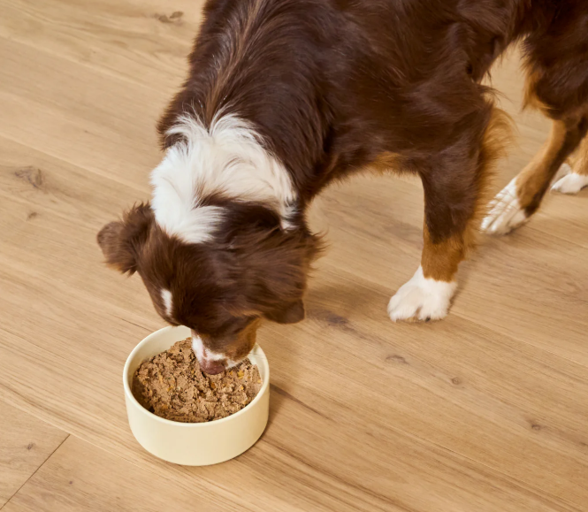 Open Farm Chicken & Beef Pate For Dogs