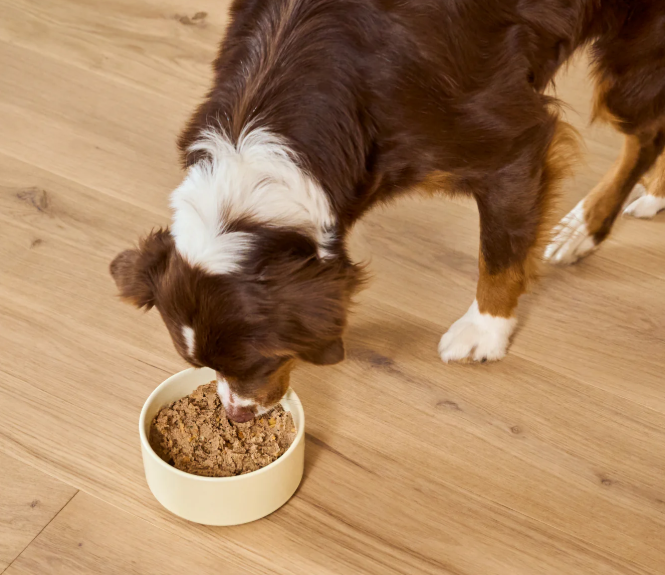 Open Farm Homestead Turkey Pate For Dogs