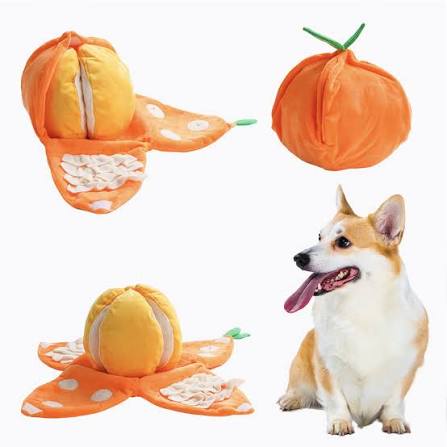 Orange Hide and Seek Plush Dog Toys