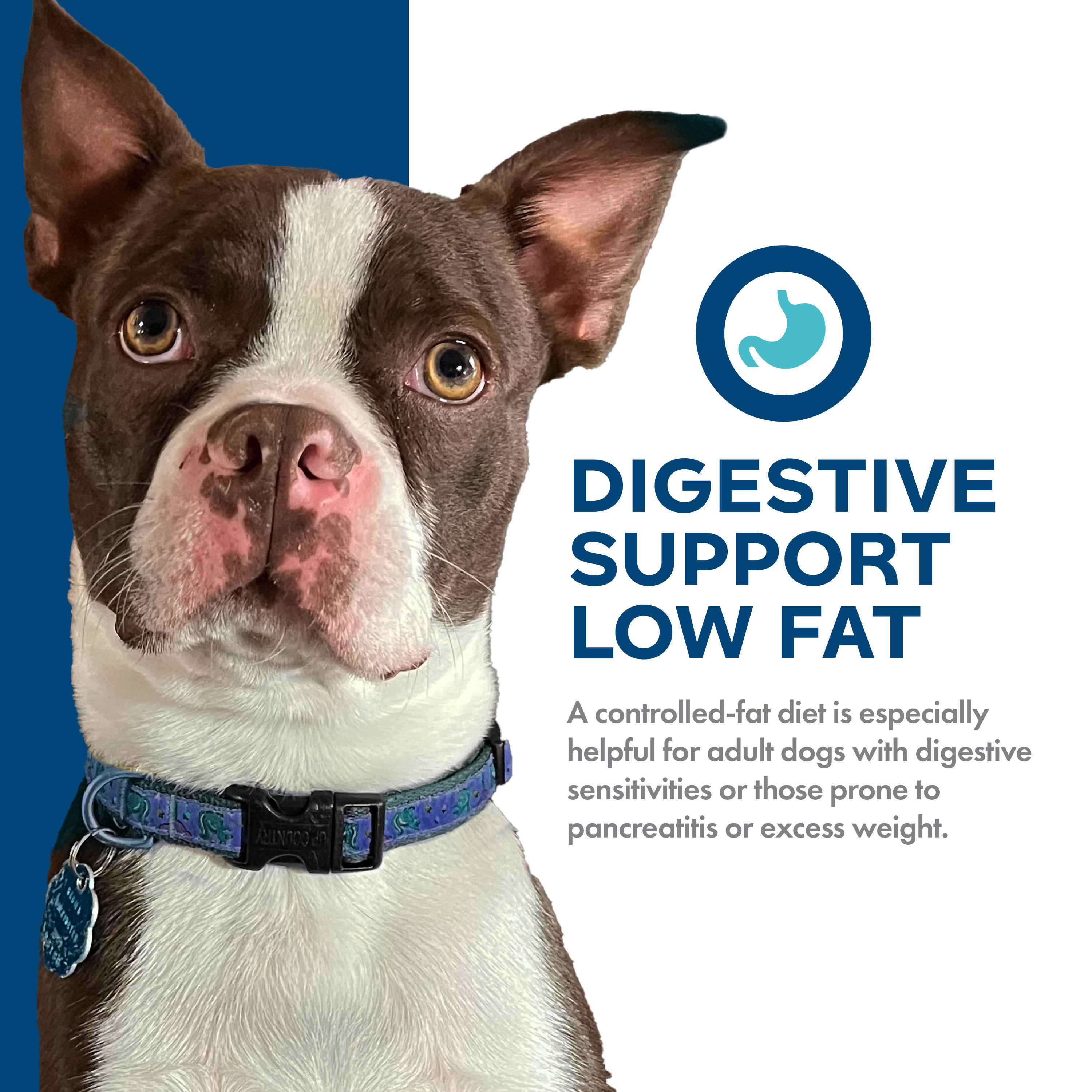 Fromm Nutritionals Digestive Support Hydrolyzed Chicken & Oatmeal Recipe