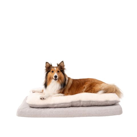 Territory Orthopedic Pillow Top Dog Bed