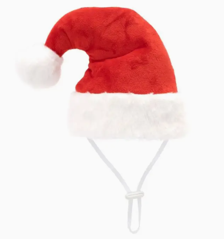 The Worthy Dog Santa Hat