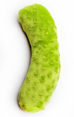 ThoozyPet Pickle Plush Dog Toy