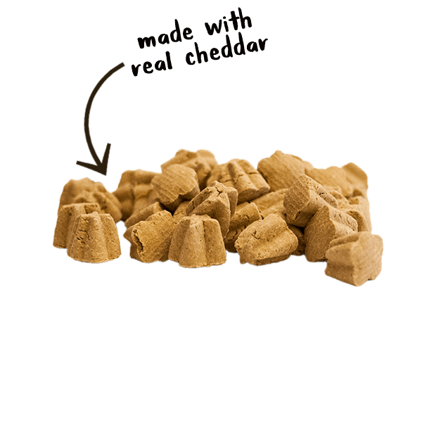 Cloud Star Tricky Trainers Crunchy Cheddar