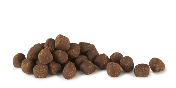 Cloud Star Tricky Trainers Soft and Chewy Peanut Butter