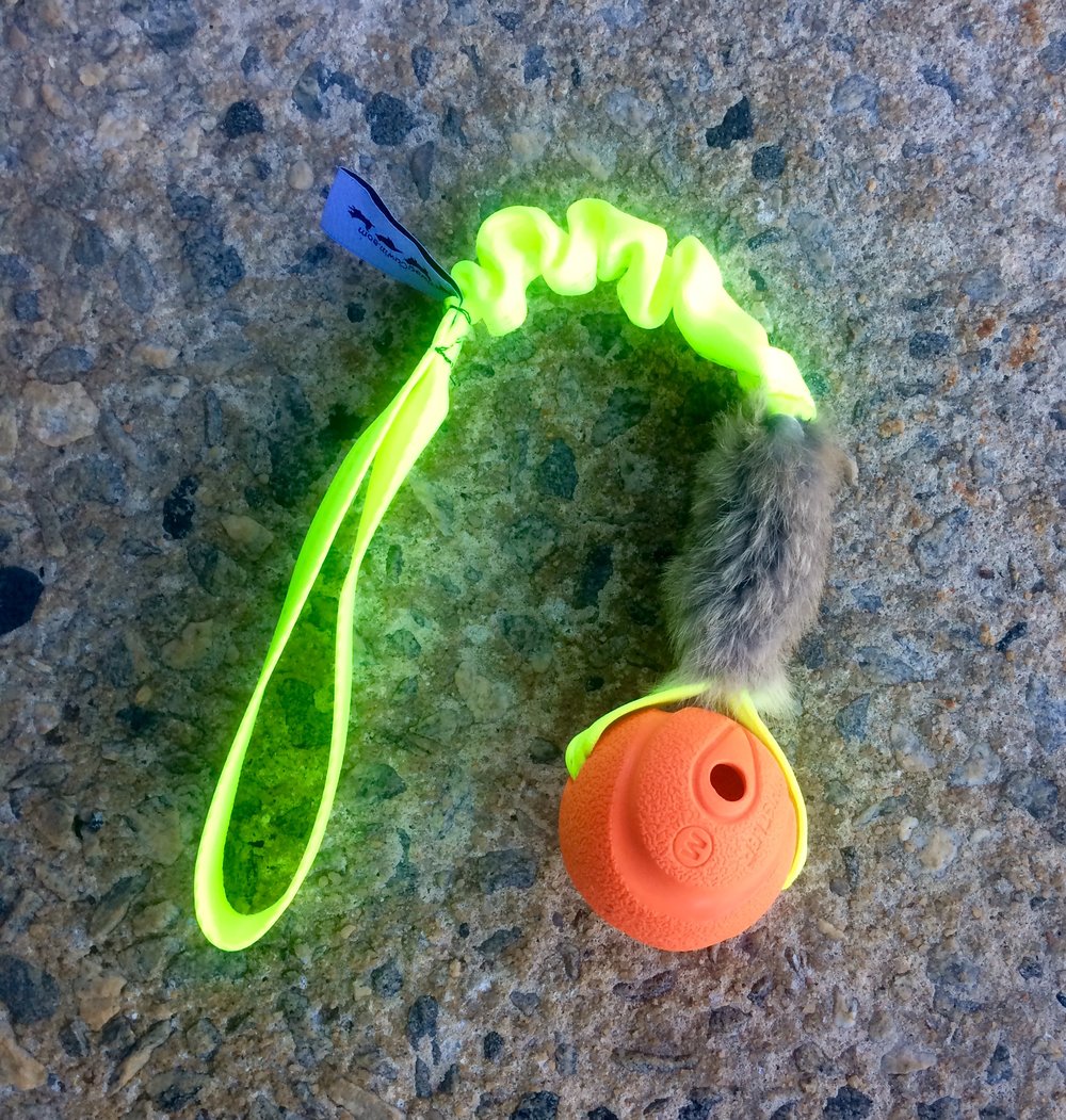 TugAwayCuwin Chuck- It Rubber Ball Bungee Rabbit Tug