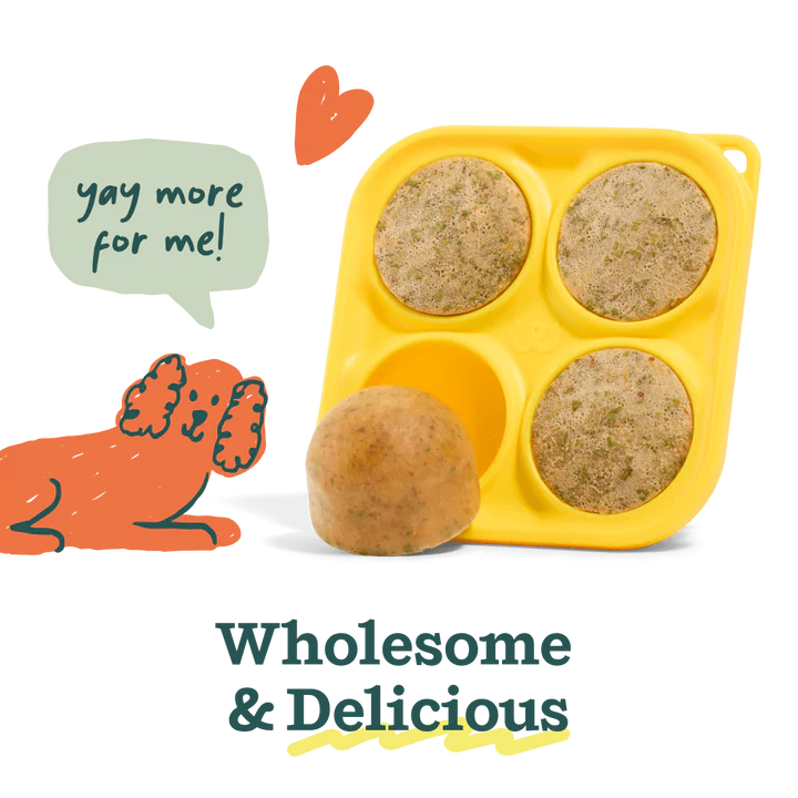 Pupsicle Pop Mix - Variety Sampler Pack