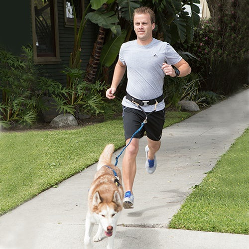 Urban Trail Jogger’s Leash w/Traffic Handle, Shock Absorber, Reflective