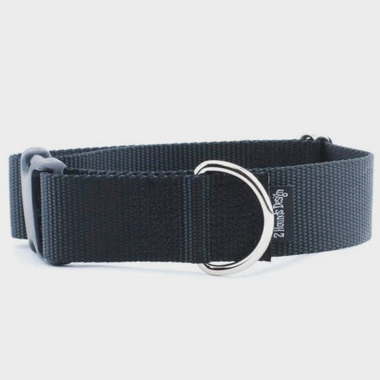 Premier martingale 2024 dog collar