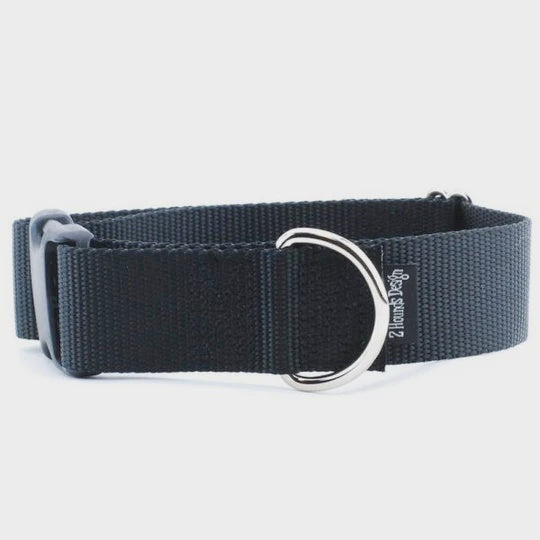 2Hounds 1.5" Wide Solid Color Side Release Collar