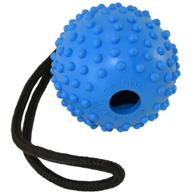 Ray Allen Ball with Handle