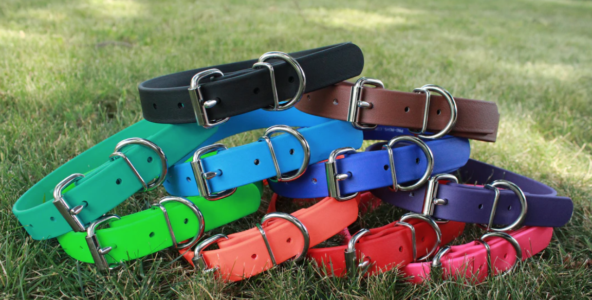 BioThane Buckle Collar