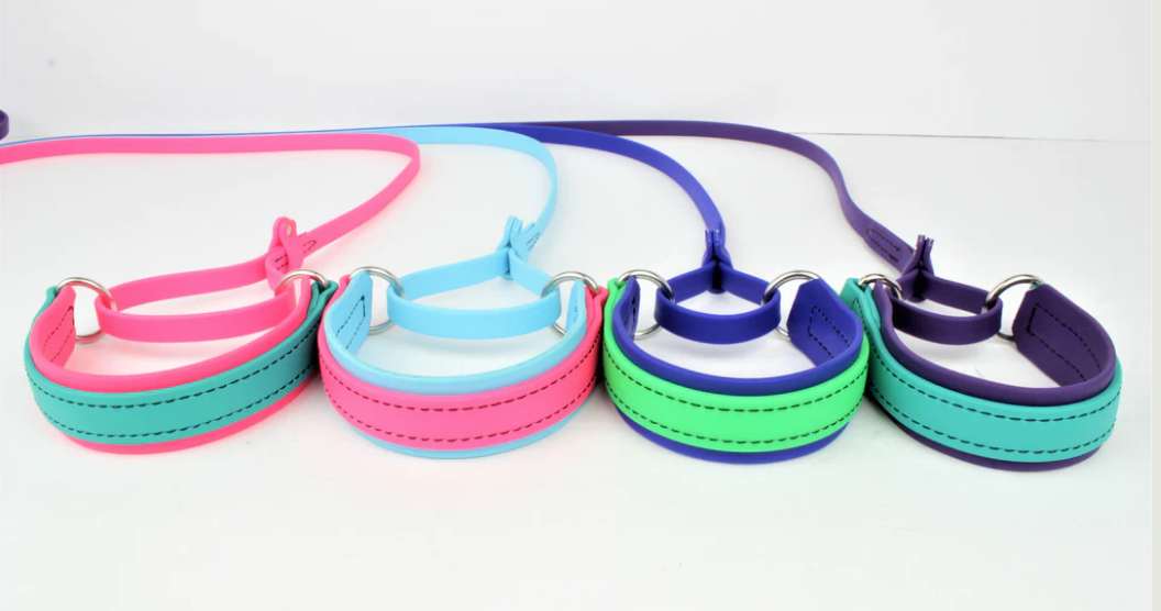 BioThane Martingale All-In-One Lead