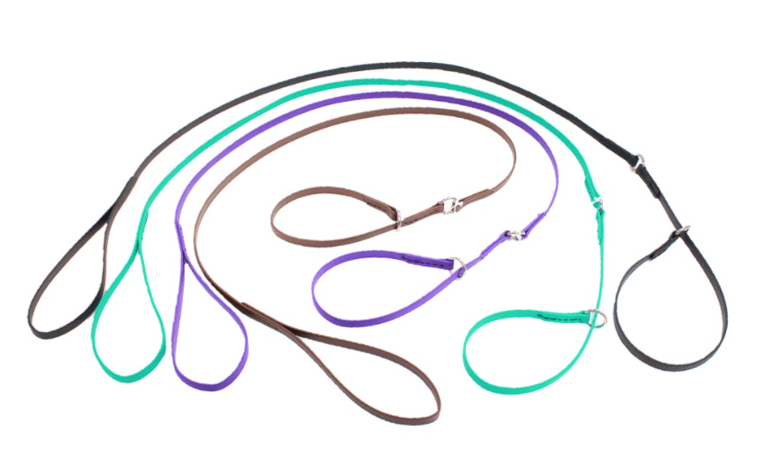 Biothane All-In-One Show Lead