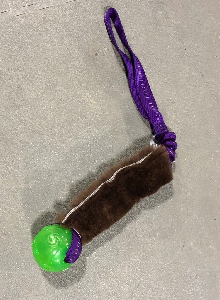 Bungee Kong Squeeze Ball with Sheep