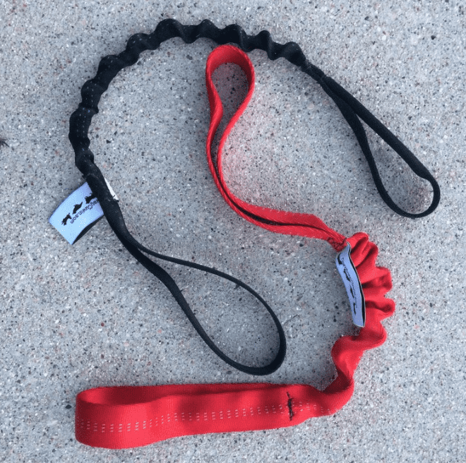 Two Handle Bungee Tug