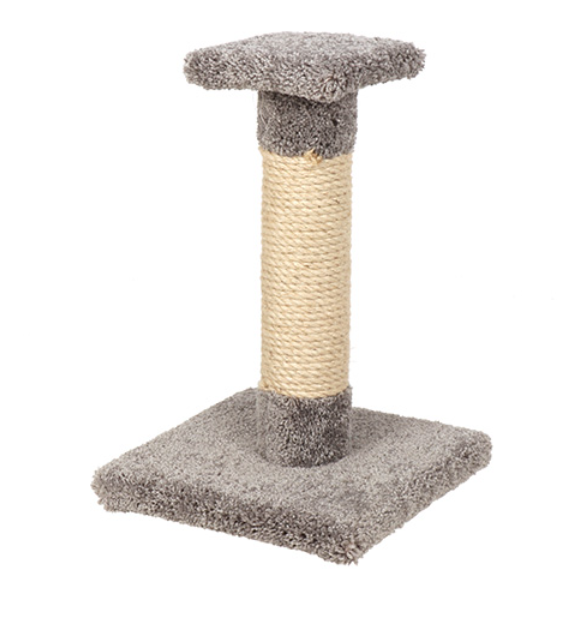 Kitty Cactus with Natural Rope 18"