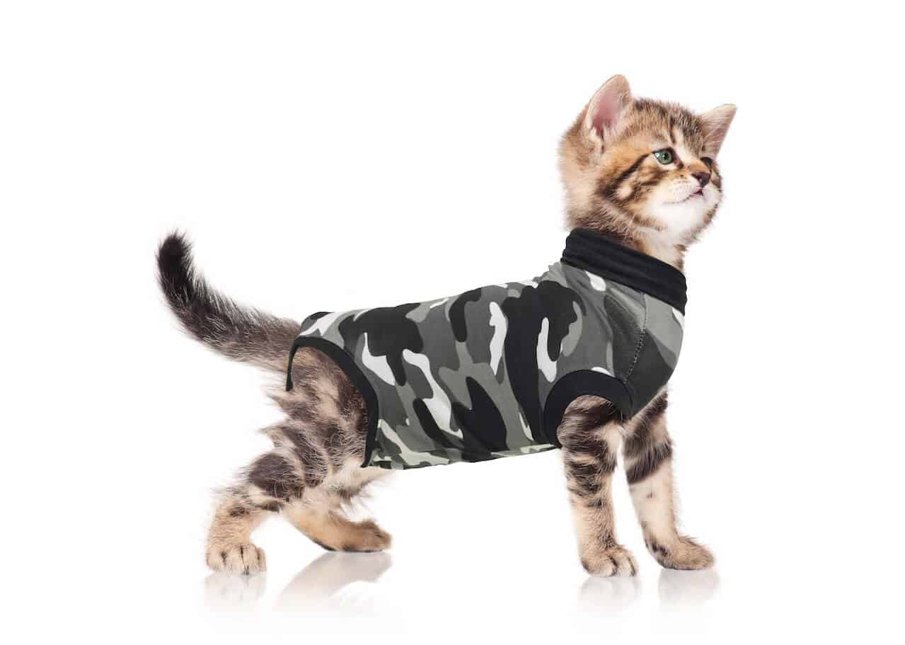 Suitical Recovery Suit for Cats